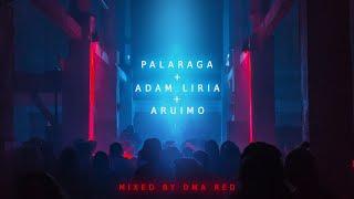  Palaraga ️ Adam Liria ️ EDM mix by DMA (Dma.Red / Cyprus) 2020 Best Music    www.unaviva.com