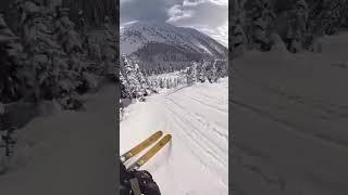 Skiing be like  #ski #skiing #snow #winter #subscribe #pedro #shorts #shortvideo #viralvideo #like