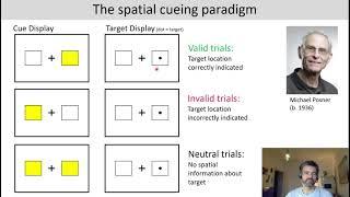 Introduction to Cognitive Neuroscience: Session 4.3 (Introduction to visual attention)