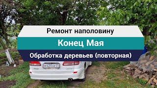 Ремонт наполовину // Конец Мая  // Обработка деревьев - (повторная)