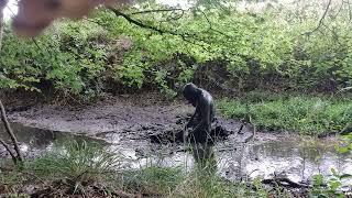 More latex and mud in the new mud spot.