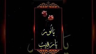 Quran ki best aayat#Shahnaz islamic #trending wazifa #Viralshorts#islamicprayer #bestdua #dua