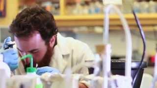 Hen House Media: SCIENCE REEL