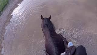 JUMP WITH ME - XC schooling at Field Farm (GoPro HeadCam)