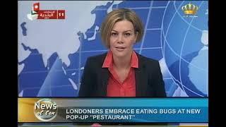 English News At Ten In Jordan Television 16-08-2013