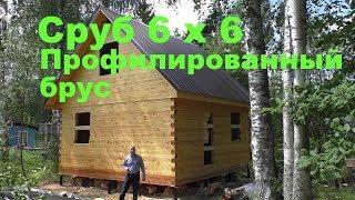 Сруб дома 6 на 6 под усадку. Профилированный брус 140 x 140.