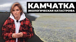 Экологическая катастрофа КАМЧАТКА | Интервью с Greenpeace