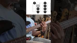 5 MUST KNOW major pentatonic bass patterns