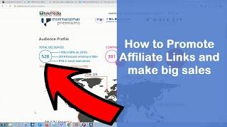 How to promote affiliate links and make big sales