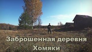 Заброшенная деревня. Хомяки, улица домов, поход осенью.