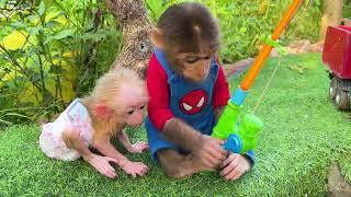 Baby Monkey Bu Bu GO FISHING so funny and cute | ANIMALS PD