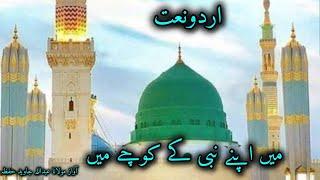 Mn Apny Nabi Ky Kochy Mn || Heart Touching Kalam || Madina Ki Yad || Syed Talha Official