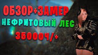 Лес нефритовых звёзд Обзор + Замер Страж Наследие 297/299/401. 1 свиток + Агрис 35000+(Black Desert)