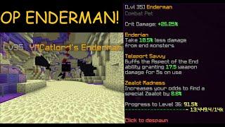 Hypixel Skyblock: FASTEST Way to Get Legendary Enderman Pet!