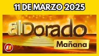 DORADO MAÑANA de HOY Resultado martes 11 de Marzo  de 2025 