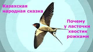 Казахская народная сказка  "Почему у ласточки хвостик рожками"