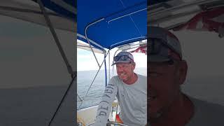 Reel Deal Sportfishing is live!
