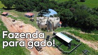 Fazenda a venda no município de Tomazina norte pioneiro do Paraná