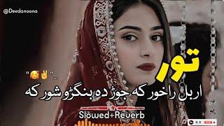 Tor Orbal Ra Khor Ka Jor Da Bangro Shor Ka  ( Slowed And Reverb ) Pashto New Song - Deedanoona