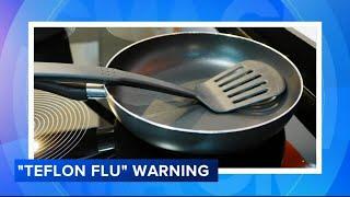 What is 'Teflon flu'?