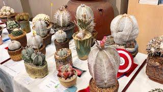 Cactus Show at The Huntington Library