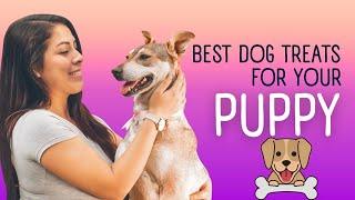 Best dog bones for large dogs 2024 | Dog Treats | Pet Pixel Hub