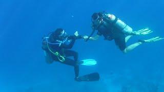 Amphoras Hotel (Ex Shores Amphoras) AMPHORAS BLU HOTEL Sharm El Sheikh, Egypt, CORAL Reef