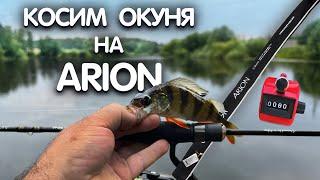 СКОЛЬКО ЖЕ ОКУНЯ в ЭТОМ ПРУДУ??? CRAZY FISH Arion 702 ULS окунь на микроджиг