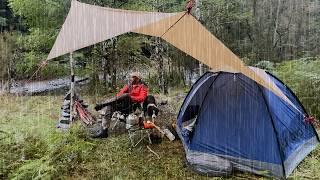 Camping in Rain with my Dog in Ultralight Tent