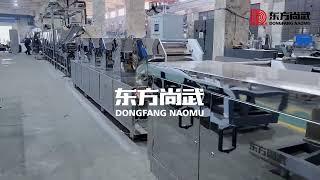 BFP-510 Fried Instant Noodle Production Line-DONGFANG NAOMU 510型油炸方便面生产线