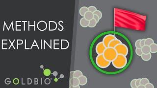 Four Protein Purification Techniques That You Need to Know