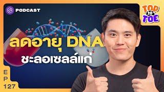 เทคนิคดูแลเซลล์ ลดอายุ DNA เพิ่ม Healthspan ให้ชีวิต | Top to Toe EP.127