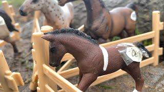 A Foal's Journey - Schleich horse movie/short film