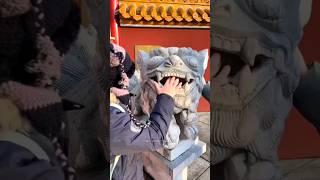 Trapped In Lion's Mouth 