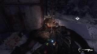 Metro Exodus.Библиотекарь! Как убить?