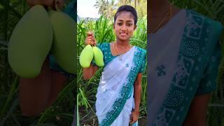 Mango Kulambu Recipe #shorts