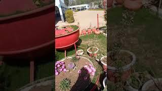 Hira School Tanda