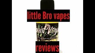 strawnectapear from liquid voyage by little bro vapes reviews