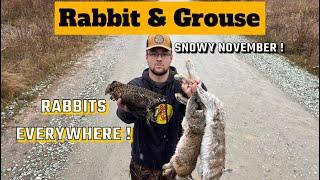 RABBIT HUNTING w/ 12 GAUGE & REMOTE CABIN TRIP ! ( Grouse & Rabbit Small Game Hunting ) , NL