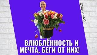 Влюблённость и мечта, беги от них! Торсунов лекции