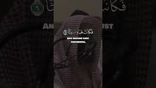 Surah Al-Waqi'ah 1 - 12 | Muhammad Al-Luhaidan #quran #islam