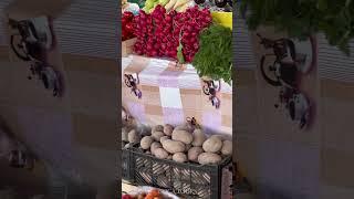  Fergana Bazaar – The Beating Heart of the Valley