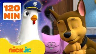 PAW Patrol Pups Have Weird Dreams! #2 w/ Chase & Chickaletta | 2 Hours | Nick Jr.