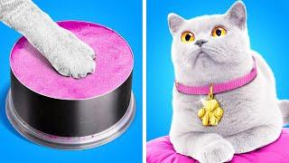 MY PET IS MISSING!  | Innovative Crafts and Gadgets to be a Better Pet Owner