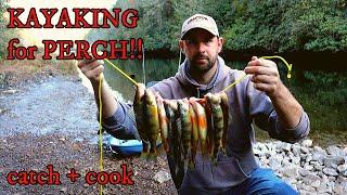 Slaying Yellow PERCH (Catch and Cook)