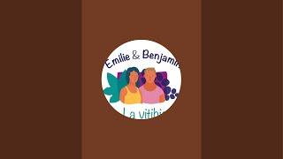 La VitiBio d'Emilie et Benjamin est en direct !