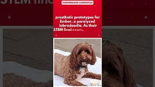 Oregon Seventh Graders Design Prosthetics for Paralyzed Puppy
