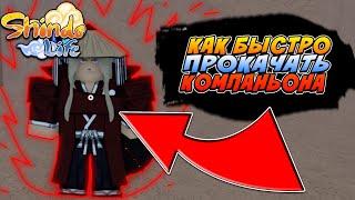 Шиндо Лайф БАГ КАК БЫСТРО ПРОКАЧАТЬ КОМПАНЬОНА в Shindo Life  Roblox Shinobi Life 2