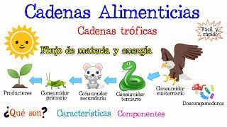 ¿Qué son las Cadenas Alimenticias? [Fácil y Rápido] | BIOLOGÍA |