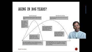 The Corporate Life Cycle: The Key Ideas